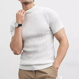 Itooh  2024 Spring Summer Casual Knit T Shirts For Men Solid Color Short-sleeved Slim Jumper Tops Mens Knitwear Fashion Mock Neck Tees